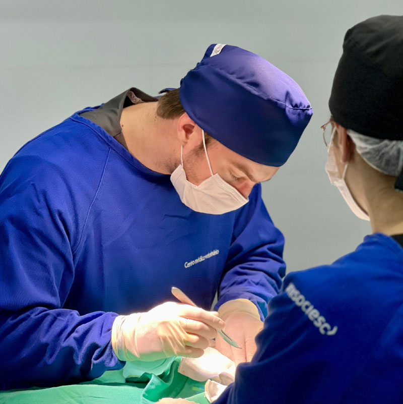 Veterinário em São Bento do Sul