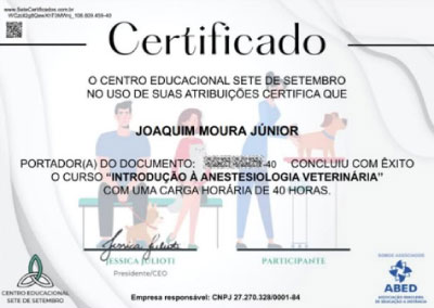 Certificado de Introdução à Anestesiologia Veterinária — Joaquim Moura Júnior